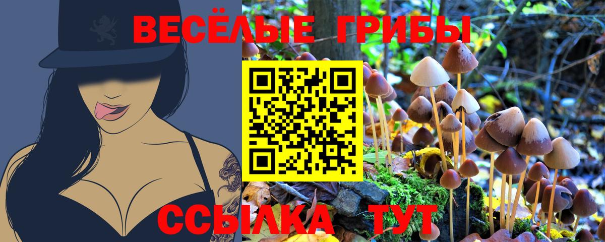 Галлюциногенные грибы GOLDEN TEACHER  закладка  Новороссийск  Вход с VPN 